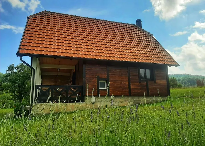 Planinska Kuca Olga-tara * باغينا باستا